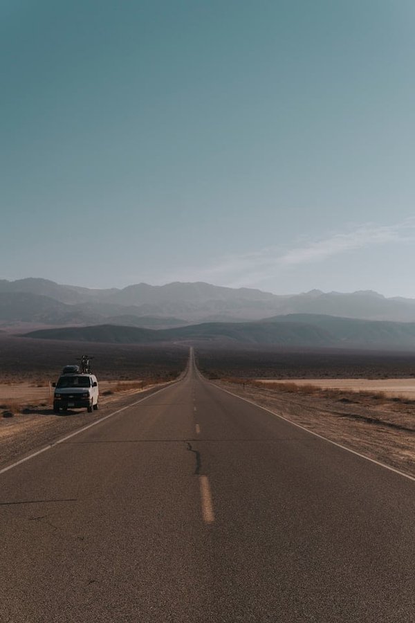 Quelles sont les plantes médicinales que l'on peut trouver en camping ?